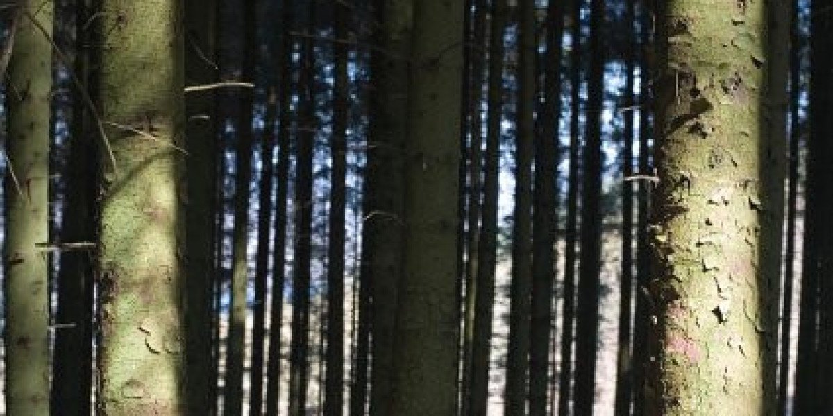 Die wichtigsten Fakten, die du über Wachstumshormone wissen musst
