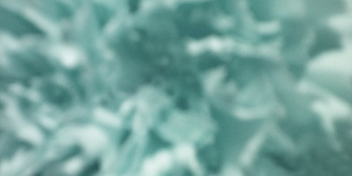 Upcoming Live Shows In Launceston