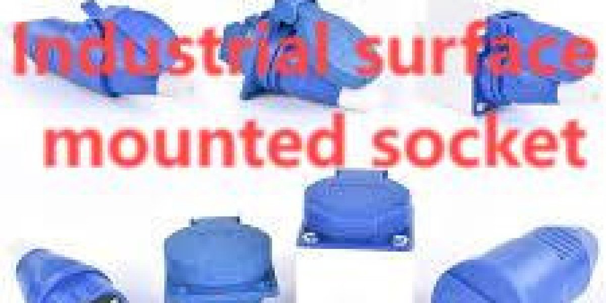 Nante Industrial Surface Mounted Socket: Engineered For Tough Jobs
