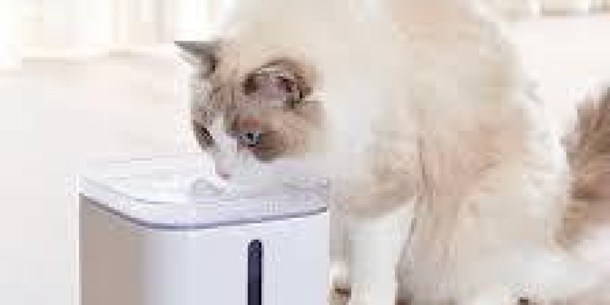 Tallfly Guide to Opey Pet Water Fountain Choices