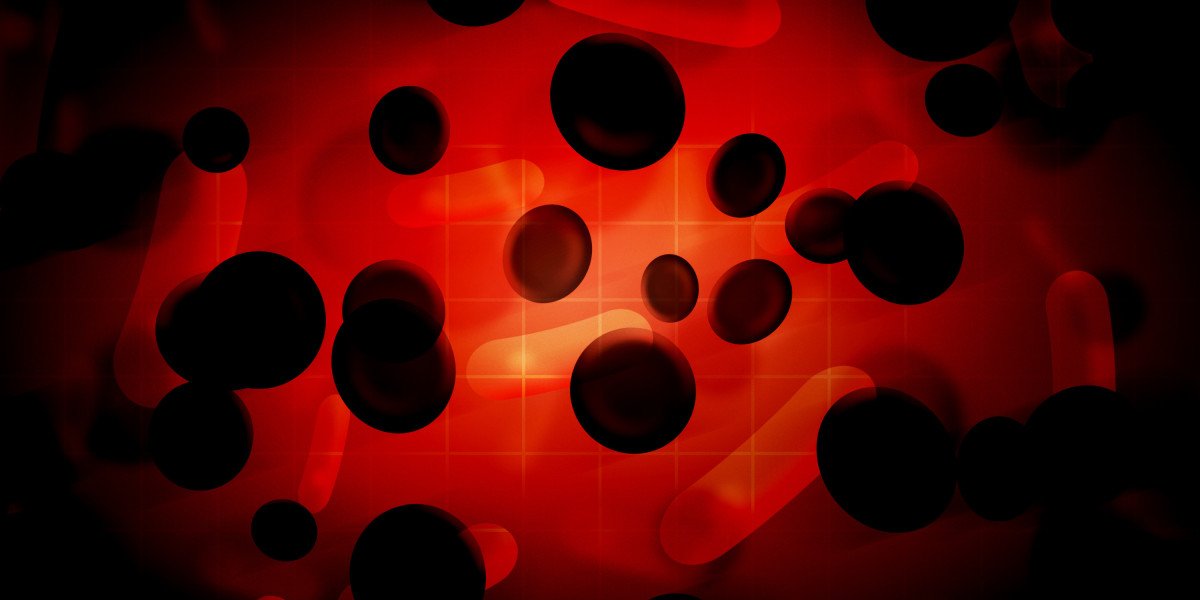 Understanding the Costs of Private Plane Flights