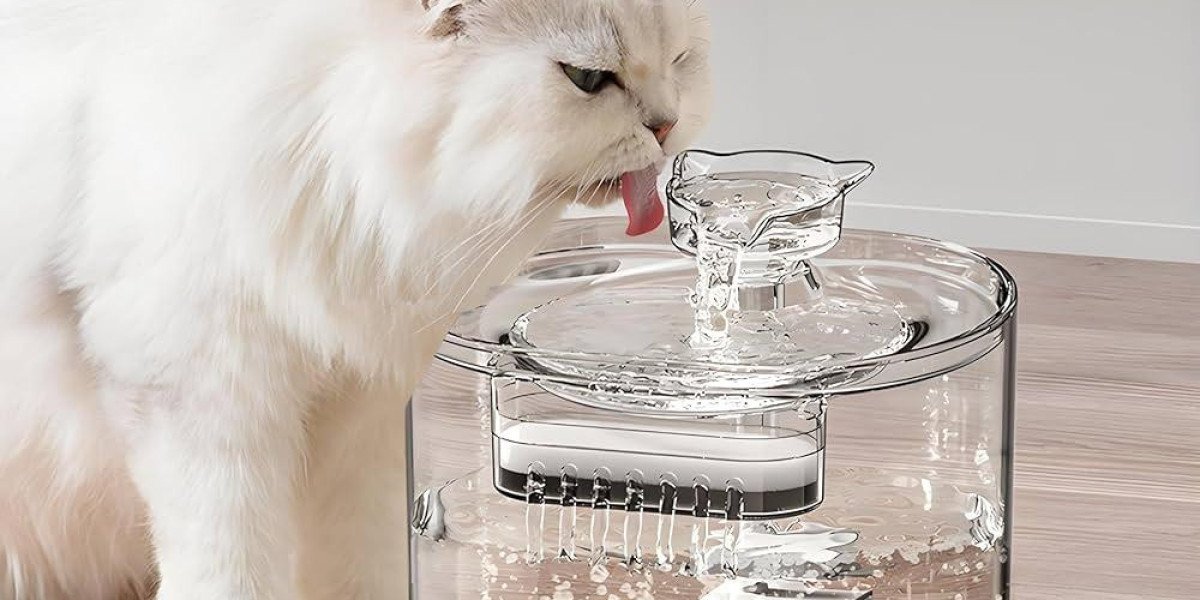 How Pawtechpet Intelligent Pet Water Dispenser Supports Daily Care
