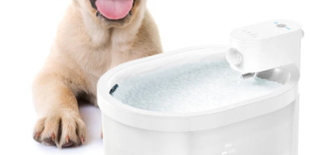 Pawtechpet Intelligent Pet Water Dispenser and Modern Pet Homes