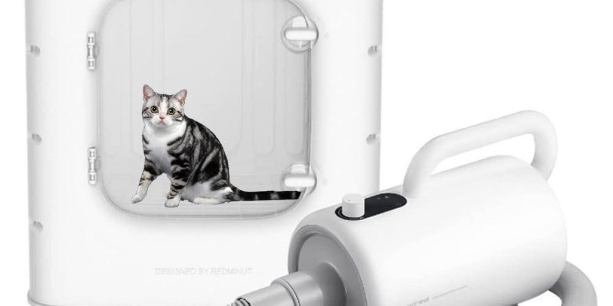 Why Pawtechpet Smart Pet Water Blower Works for Busy Owners