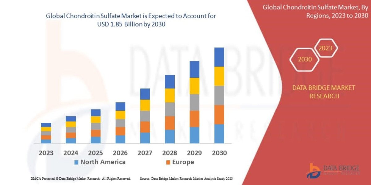 Chondroitin-Sulfate-Market Size, Share, Trends & Forecast Report 2026–2032