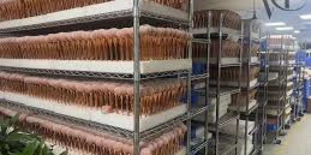 Zhuoerya New Cosmetic Brush Factory High Efficiency Workflow for Professional Cosmetic Brushes